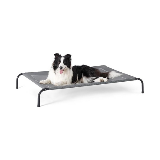 Bedsure Outdoor Elevated Dog Bed Large Sized Dog
